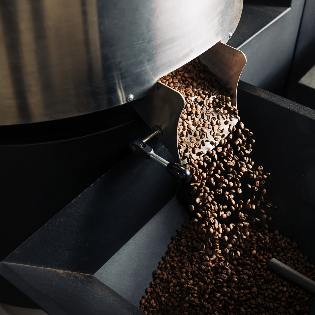 Thailand, Chiang Mai, Om Koi, Typica & Catimor, Natural Double Anaerobic (Single Origin)