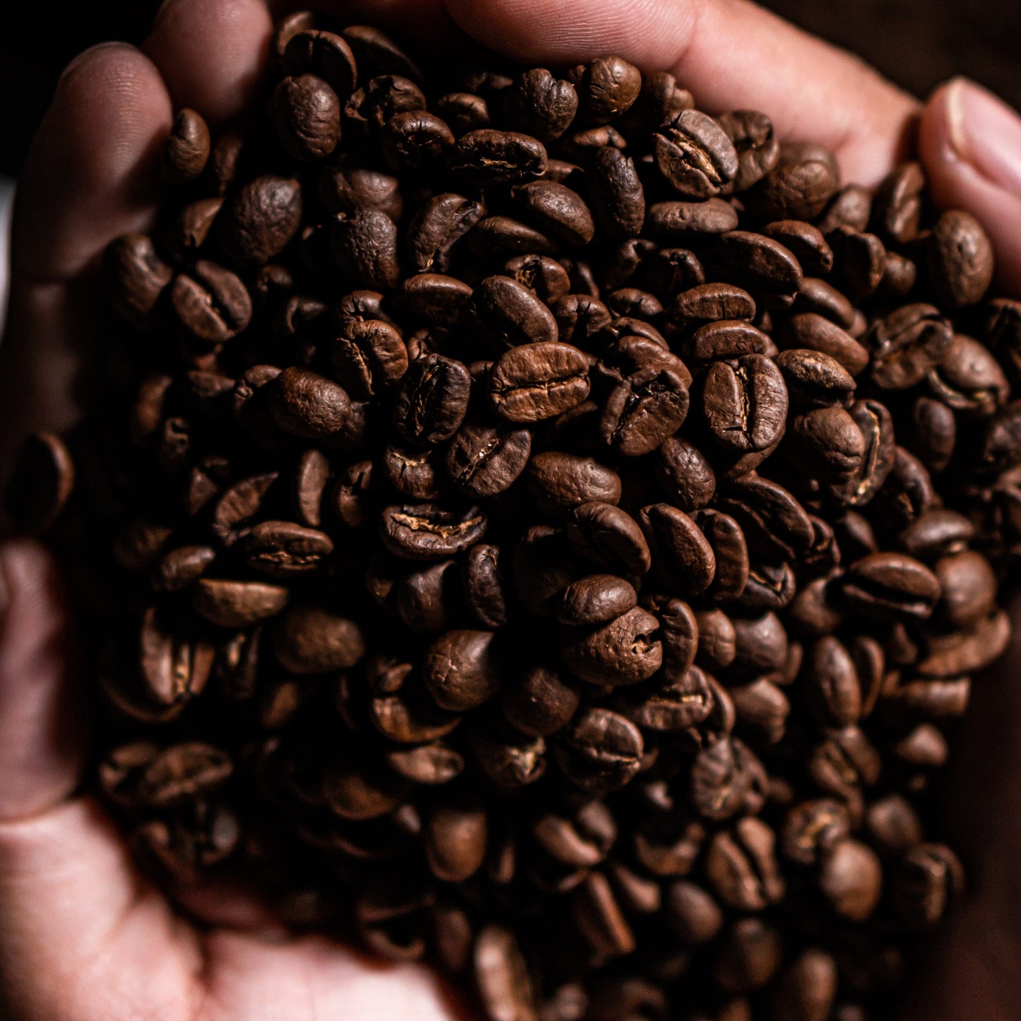 Guatemala, Huehuetenango, SHB EP Coffee Bean (Single Origin)