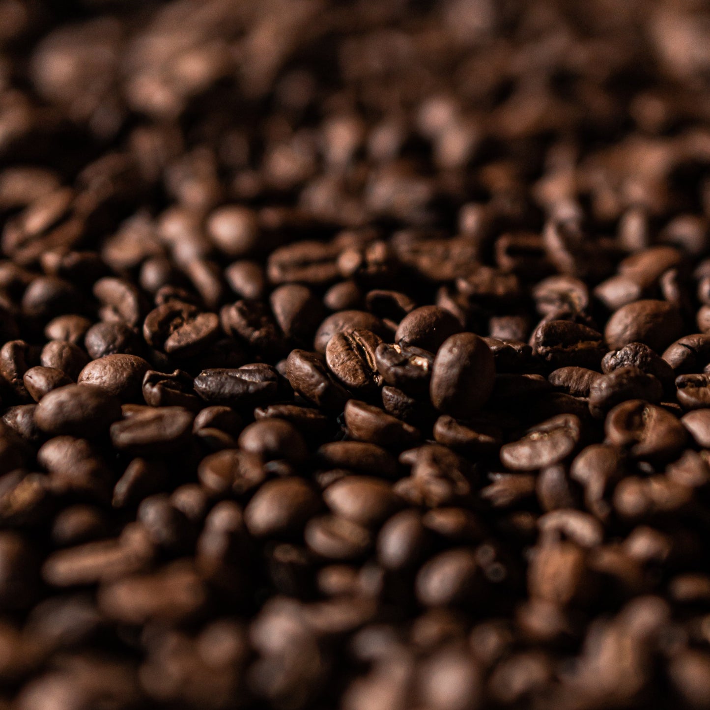 Tiramisu Blend