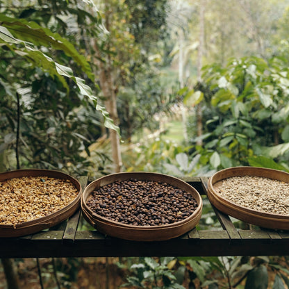 Thailand, Chiang Mai, Om Koi, Typica & Catimor, Natural Double Anaerobic (Single Origin)