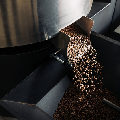 Thailand, Chiang Mai, Om Koi, Typica & Catimor, Natural Double Anaerobic (Single Origin)